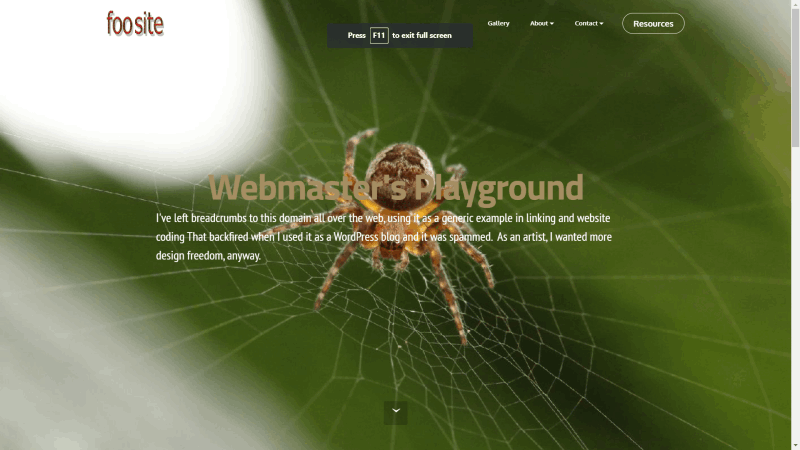 foosite.com website - A webmaster's playground